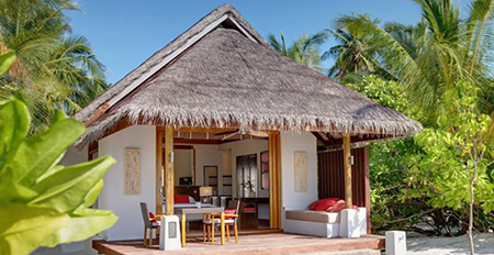 تاریخچه جنگل زیبای حرا